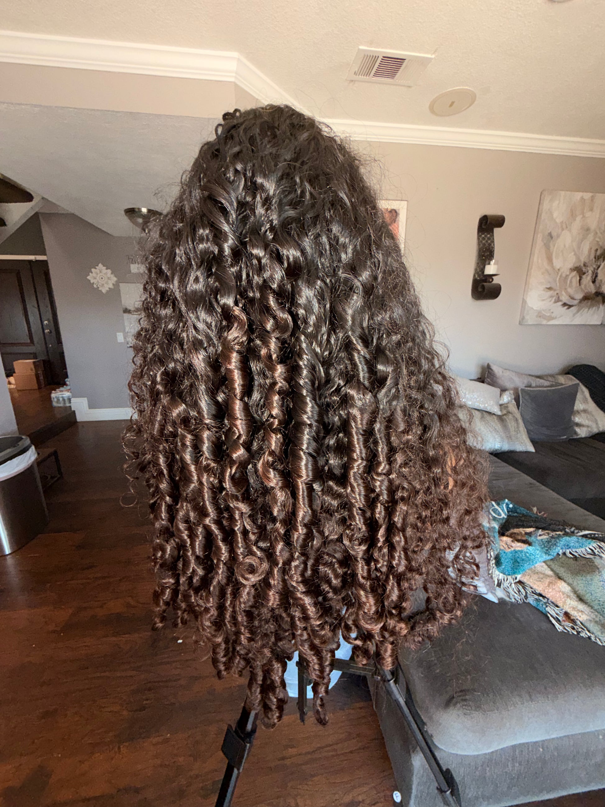 Burmese Curly - Ombre 2