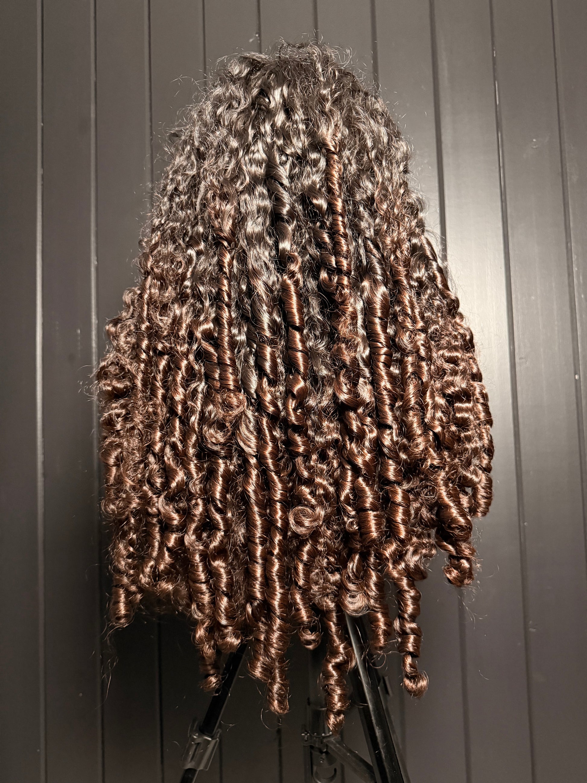 Burmese Curly - Ombre 2