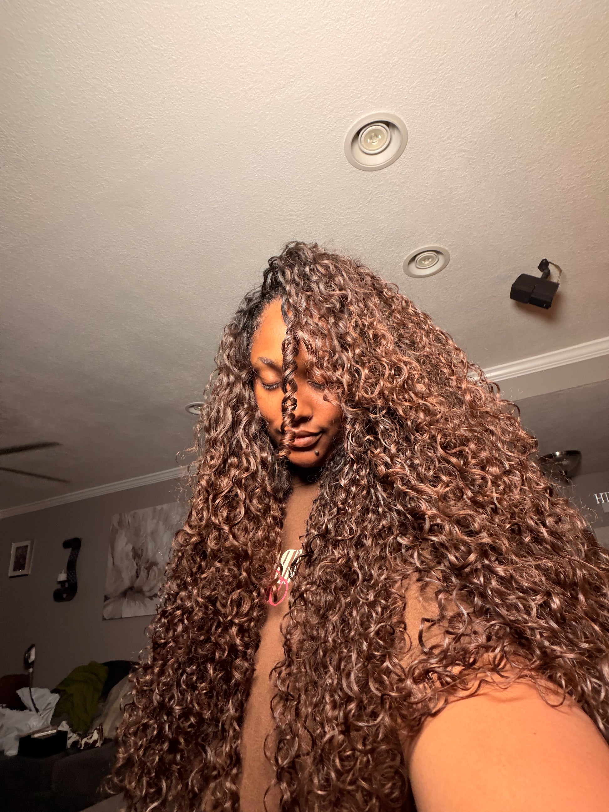 Burmese Curly - Ombre 2