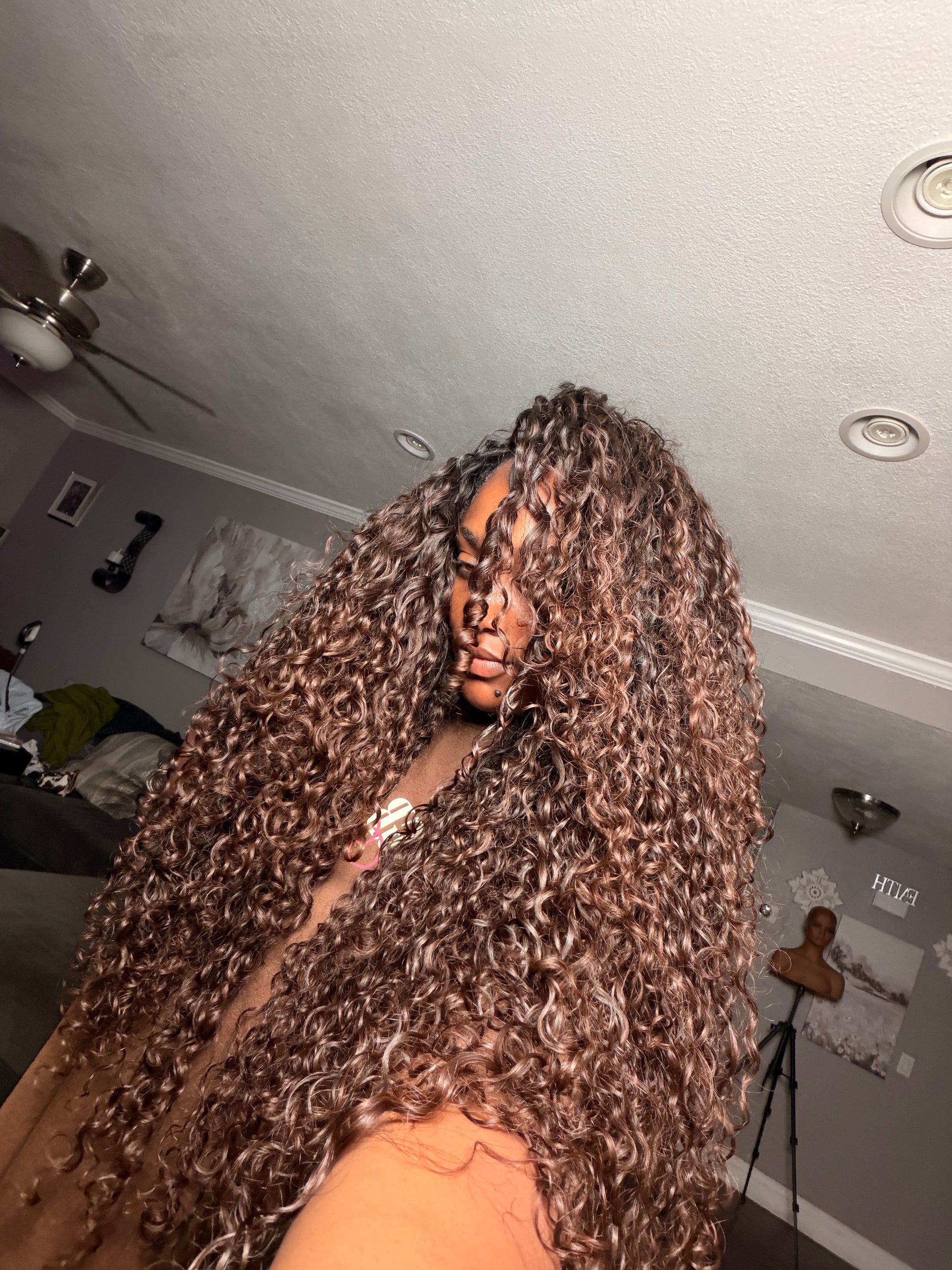 Burmese Curly - Ombre 2