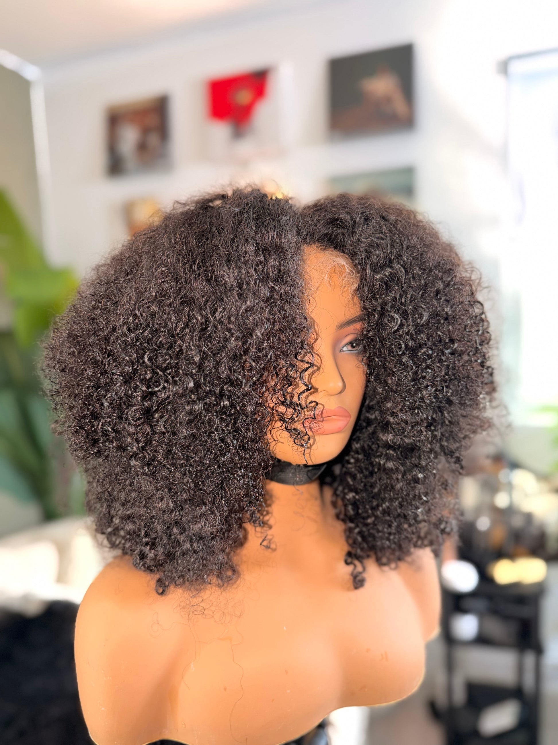 KINKY CURLY - 5X5 HD LACE WIG - 16 INCH - NEVER USED