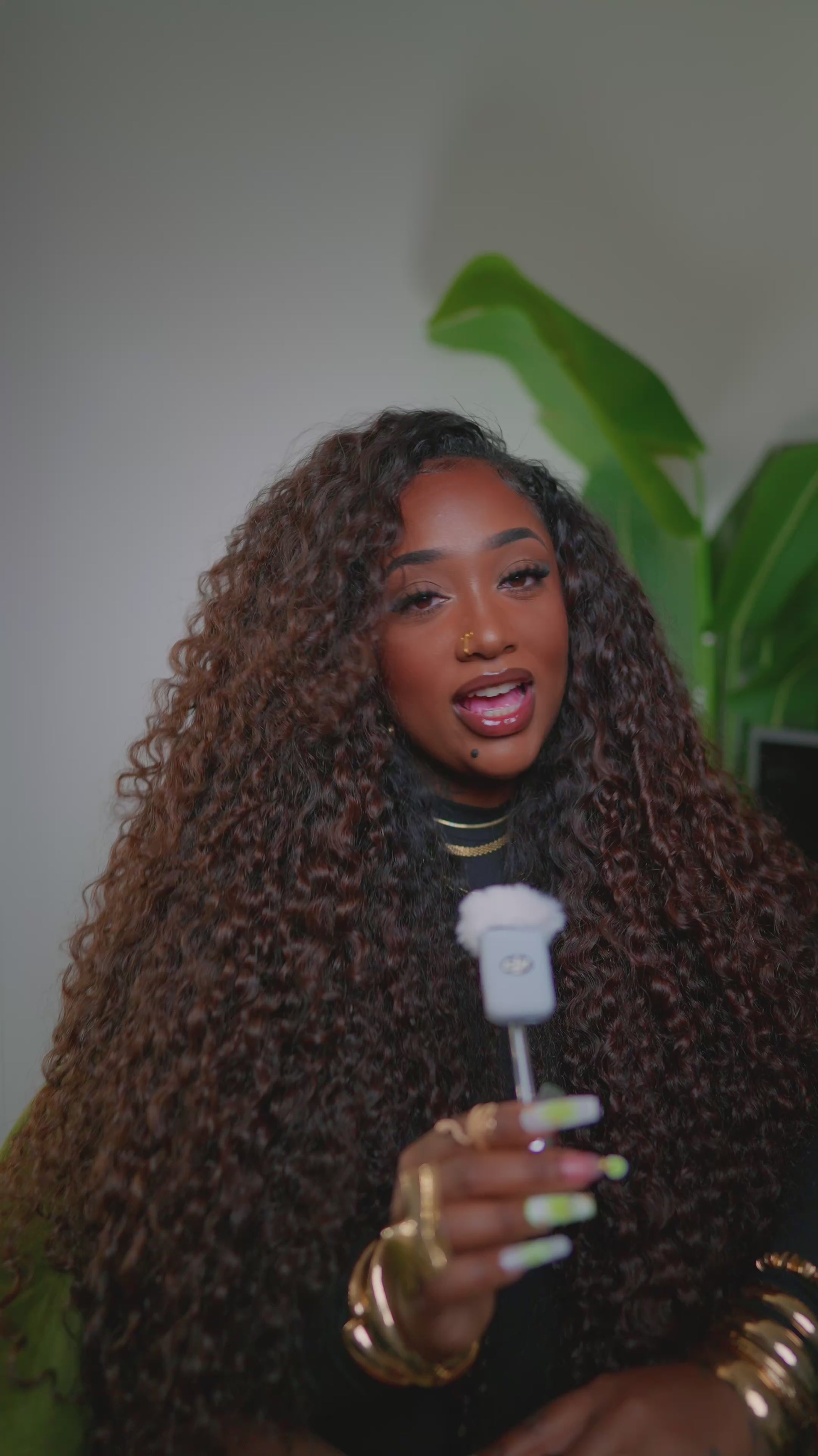 Burmese Curly - Ombre 2